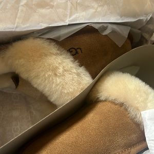 Uggs W Scuffette Brand New Box Included!!